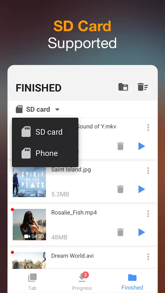 Video Downloader