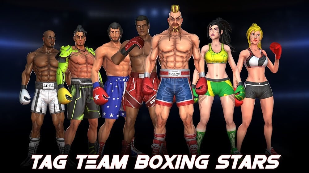 Tag Boxing Games: Punch Fight