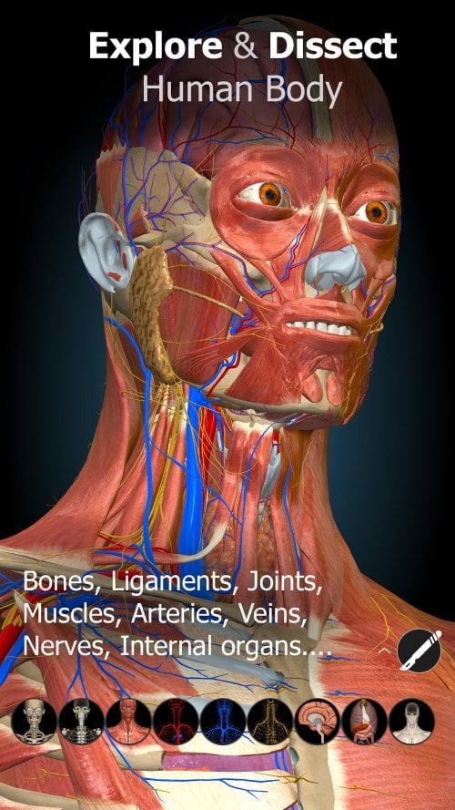 Anatomy Learning – 3D Anatomy