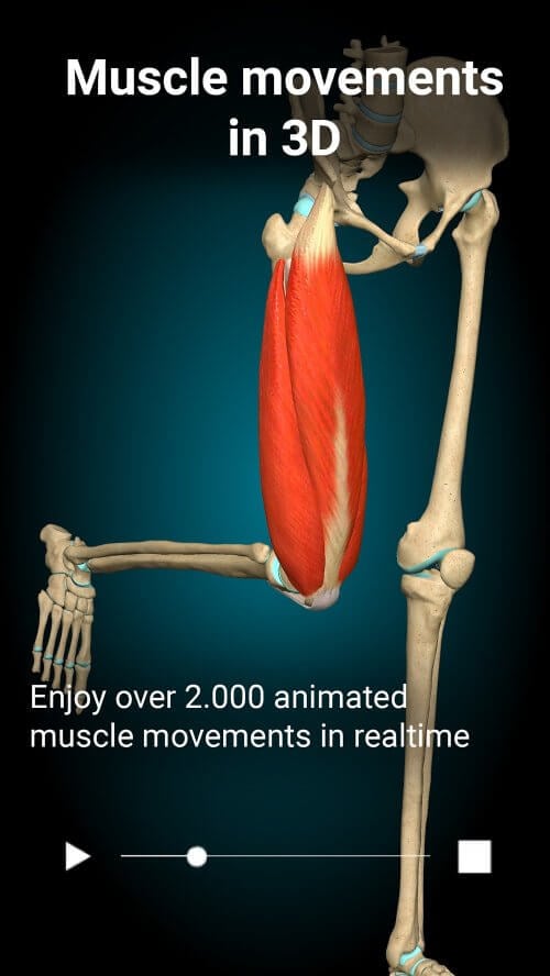 Anatomy Learning – 3D Anatomy