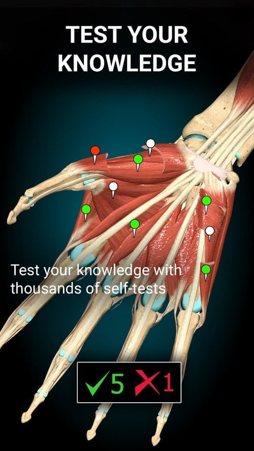 Anatomy Learning – 3D Anatomy