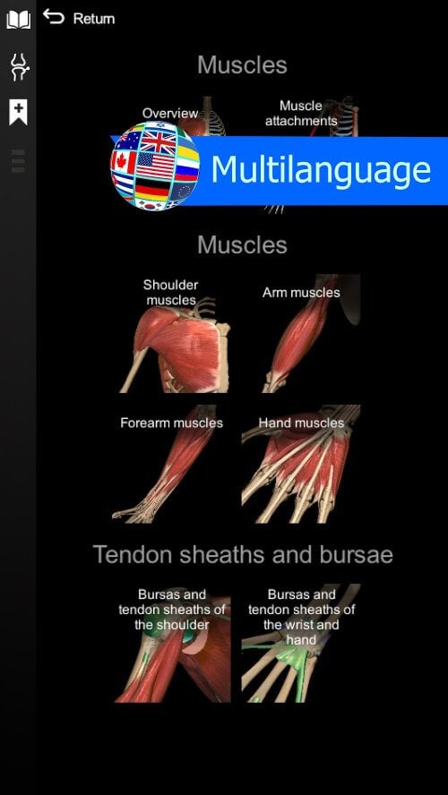 Anatomy Learning – 3D Anatomy